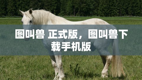 图叫兽正式版：轻松管理手机相册的神器！