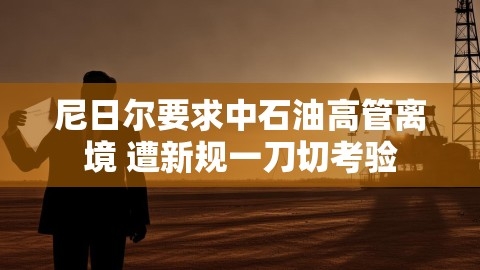 尼日尔要求中石油高管离境 遭新规一刀切考验
