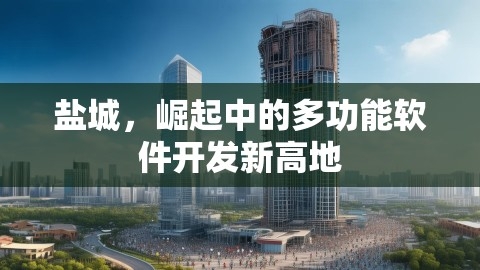 盐城，崛起中的多功能软件开发新高地