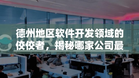 德州地区软件开发领域的佼佼者，揭秘哪家公司最值得信赖