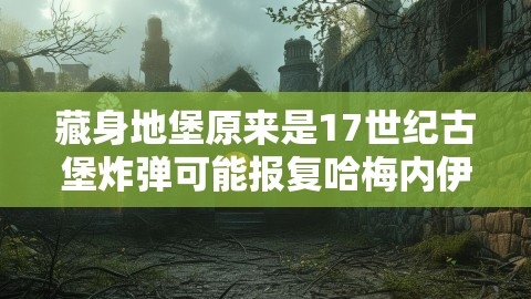 藏身地堡原来是17世纪古堡炸弹可能报复哈梅内伊家人,藏身地堡原来是17世纪古堡炸弹可能报复哈梅内伊家人,地堡,哈梅内伊报复,第1张