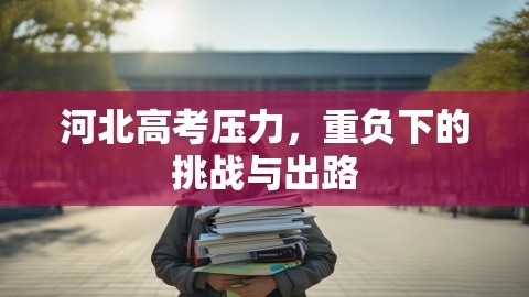 河北高考压力，重负下的挑战与出路,河北高考压力，重负下的挑战与出路,高考压力,挑战与出路,第1张