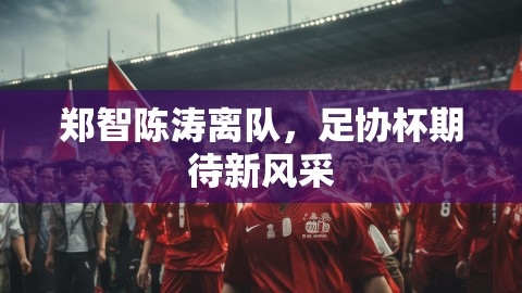郑智陈涛离队，足协杯期待新风采