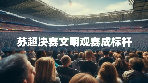 苏超决赛文明观赛成标杆